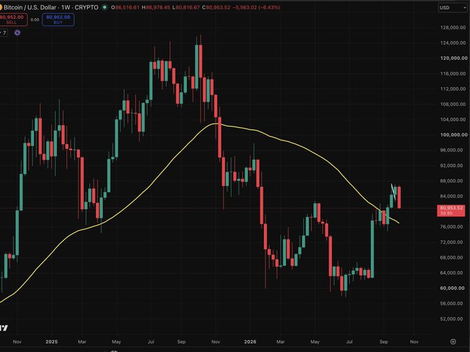A Bitcoin/U.S. Dollar weekly chart showing a current price of $80,952.20, down 6.43%, with candlestick patterns and a moving average line from November 2024 to November 2025.