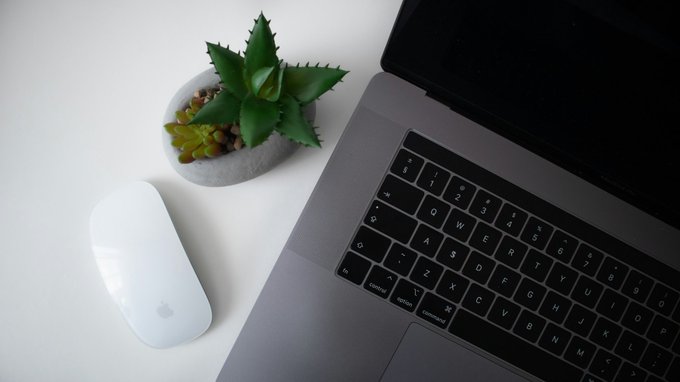 An overhead shot of a desk setup featuring a white Apple Magic Mouse next to a silver MacBook Pro, with a small green succulent plant in a gray stone pot between them.