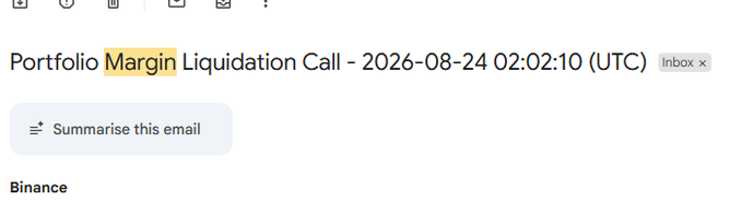 An email subject line from Binance reading 'Portfolio Margin Liquidation Call - 2026-08-24 02:02:10 (UTC)' with a 'Summarise this email' AI prompt option visible.