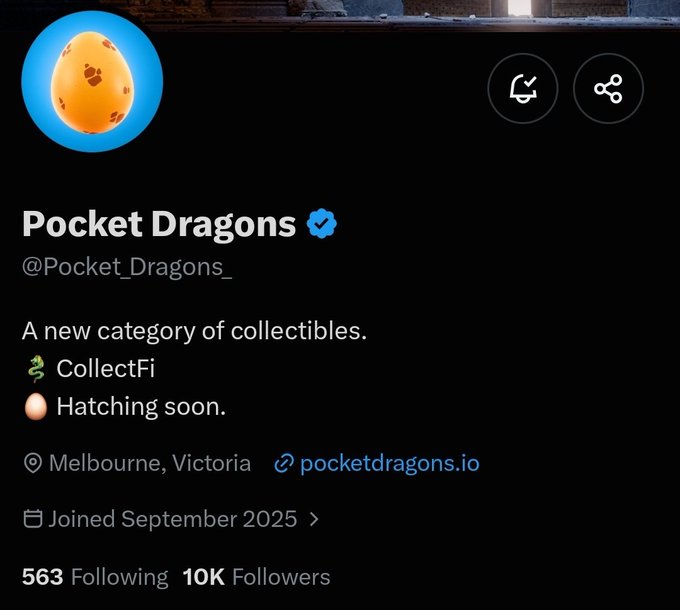 A Twitter profile page for 'Pocket Dragons' (@Pocket_Dragons_) describing itself as 'A new category of collectibles' associated with CollectFi, located in Melbourne, Victoria, with 10K followers.
