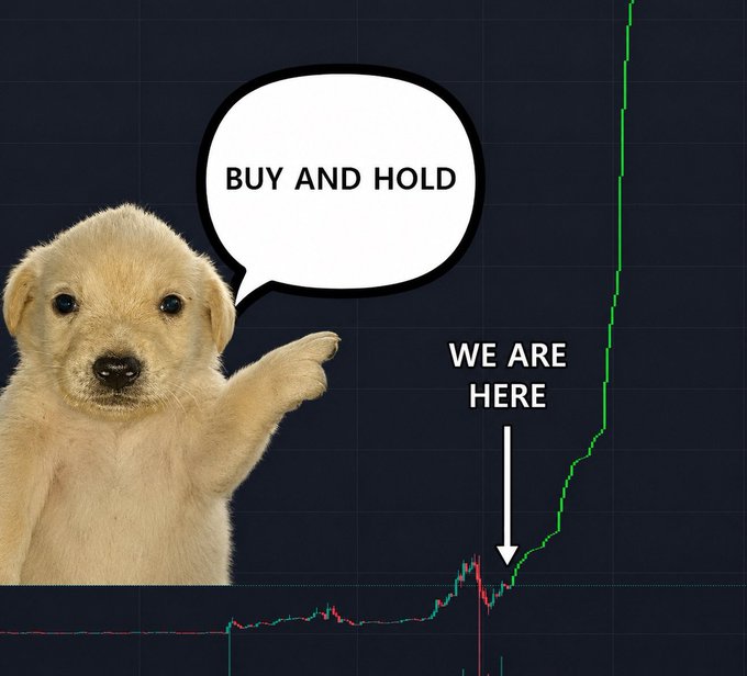 A meme featuring a puppy with a speech bubble reading 'BUY AND HOLD' next to a steeply rising green price chart, labeled 'WE ARE HERE'.