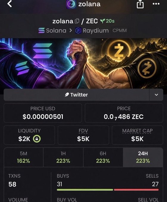 Mobile screen showing a Solana-based Raydium CPMM trading pair for 'zolana' / ZEC token, displaying a $0.000000501 USD price and $2K liquidity.