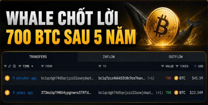 A Vietnamese-language crypto news graphic headlined 'WHALE CHỐT LỜI 700 BTC SAU 5 NĂM' showing a whale and Bitcoin coin, with transfer details indicating a 700 BTC ($45.3M) inflow.