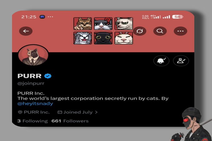 Twitter/X profile page for 'PURR' (@joinpurr), described as 'The world's largest corporation secretly run by cats,' showing 3 Following and 661 Followers with a cartoon cat avatar.