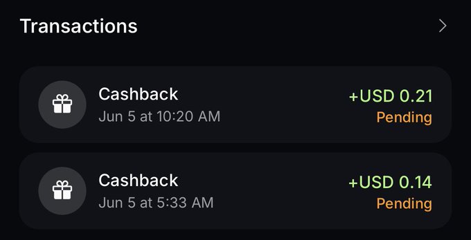 The image shows an app screen displaying transactions made using a Jup Card. There are two transactions shown, one for Cashback and another for a US Dollar transaction showing a loss of money. The Cashback transaction has successfully been completed with a result of US $0.21, while the other US Dollar transaction has resulted in a loss of US $0.14. The app appears to be focused on promoting cashback rewards or offering financial benefits for users who use their Jup Card.