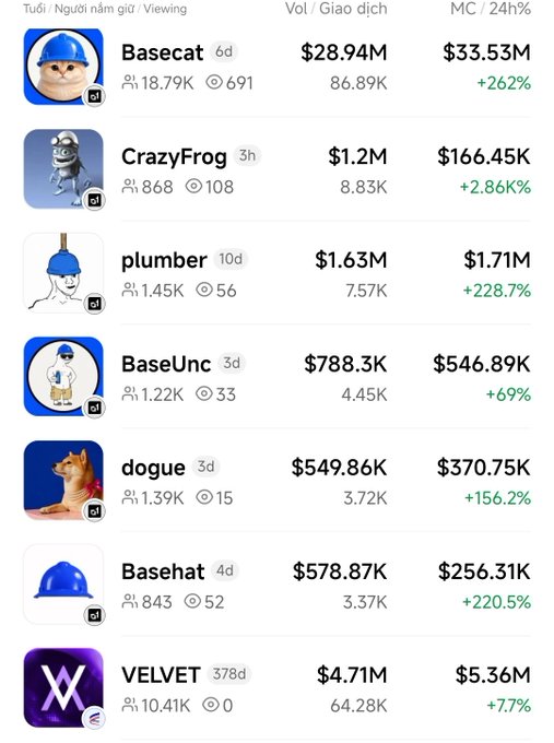 A cryptocurrency tracking dashboard displays memecoin metrics including Basecat ($28.94M vol, +262%), CrazyFrog ($1.2M, +2.86K%), plumber ($1.63M, +228.7%), BaseUnc, dogue, Basehat, and VELVET, with columns for Volume, Trading, and 24hr Market Cap in Vietnamese.