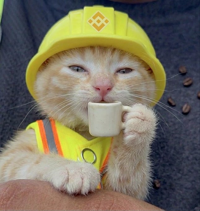 A cat wearing a yellow Binance hard hat and matching vest holds a tiny cup near its mouth.