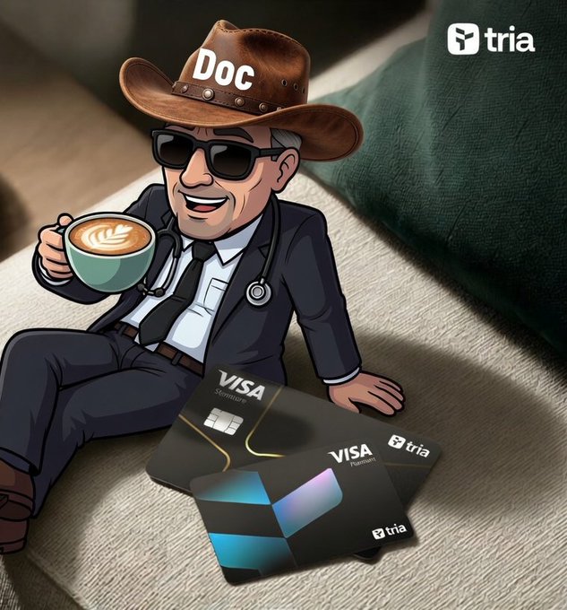 The image features a cartoon character wearing sunglasses and a cowboy hat, sitting on a couch with two Visa credit cards placed next to him. The text above the image reads "Focus on what is in the image and how it relates to the post".