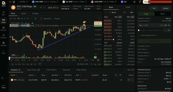 Cryptocurrency trading platform interface showing BTC-USD Perpetual futures chart on Binance, with BTC price around $64,377.2, long position active, showing order book, positions, and 0.776 BTC position size.