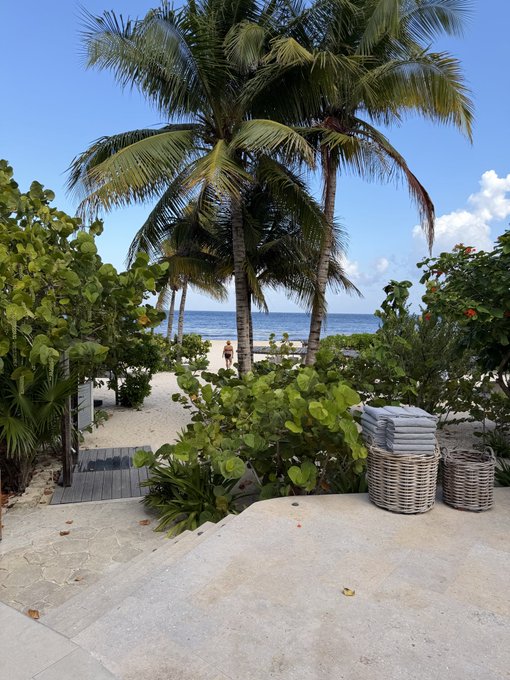 A serene tropical morning view features tall palm trees, lush greenery, and wicker baskets of folded towels framing a path that leads toward the ocean, where a person can be seen walking along the shore under a bright blue sky—perfectly capturing the peaceful "good morning" vibe of a beachside getaway.