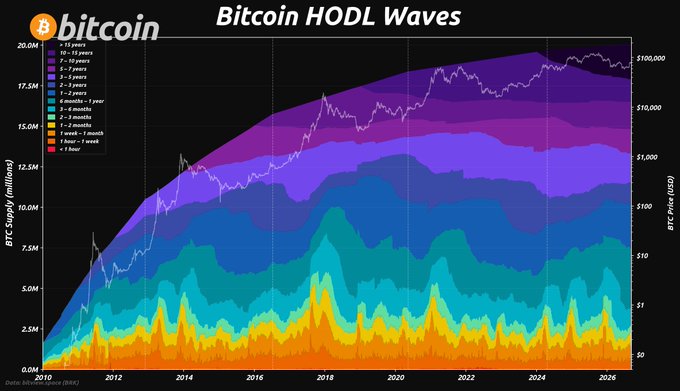 A 'Bitcoin HODL Waves' chart displays the BTC supply distribution across various holding periods from 2010 to 2026, with a colorful stacked area graph and BTC price overlay.