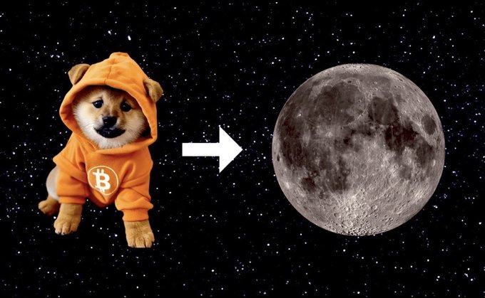 A meme showing a Shiba Inu dog wearing an orange Bitcoin hoodie next to an arrow pointing to the moon, referencing the crypto phrase 'to the moon.'