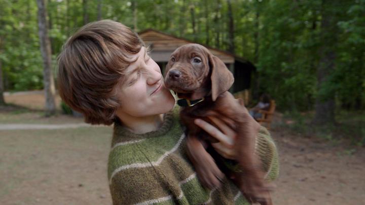 The image features a young boy holding a brown puppy with his arms around it. The background of the photo shows a forest, indicating that they are outdoors. There is also text present in the image which reads "@NFLX is bringing back Scooby-Doo. Scooby-Doo: Origins, the franchise's first live-action series, premieres in 2027." and "@NFLX is live and tokenized on Solana". The post seems to be related to a movie or TV show featuring Scooby-Doo, as it mentions that the film is coming back with a new release.