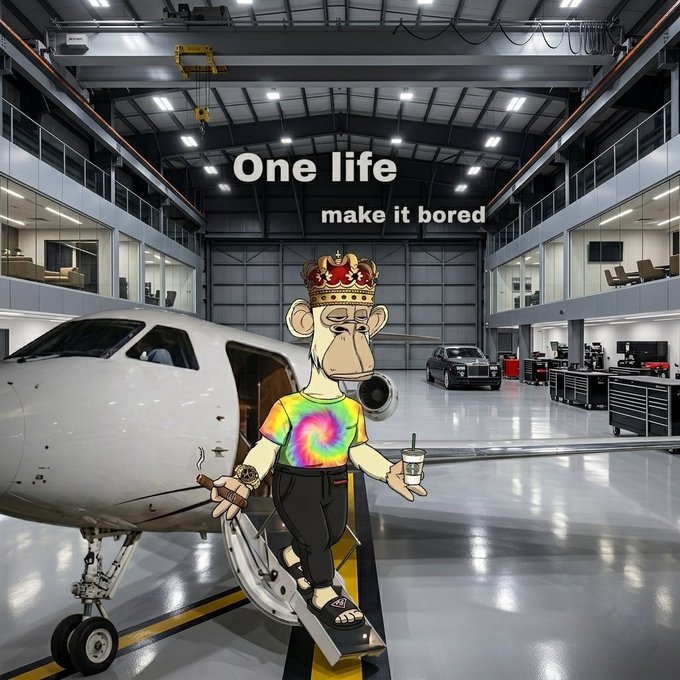 The image shows a Bored Ape character wearing a gold crown and tie-dye shirt, holding a cigar and drink while stepping out of a private jet in a luxury hangar. The text "One life make it bored" is displayed above, playing on the Bored Apes brand. This ties to the post's vibe by embodying the lavish, carefree lifestyle associated with Bored Apes NFT culture.
