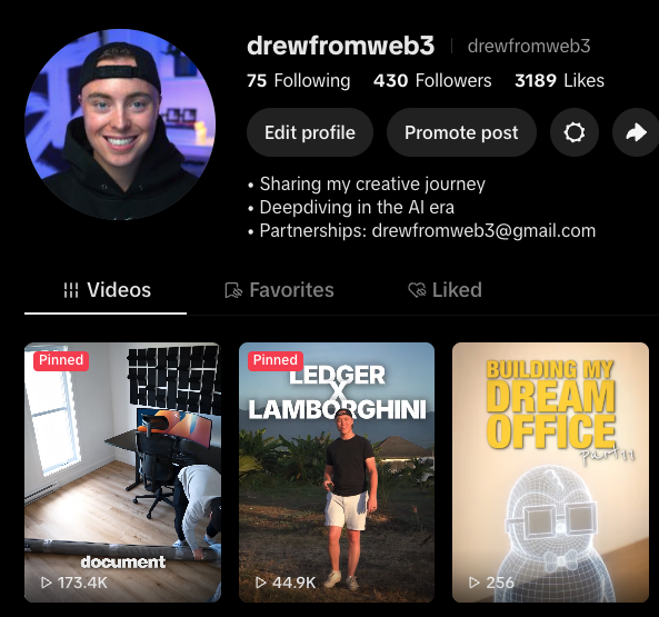 A TikTok profile page for 'drewfromweb3' shows the bio 'Sharing my creative journey', 'Deepdiving in the AI era', and 'Partnerships: drewfromweb3@gmail.com', along with pinned videos including 'document', 'LEDGER x LAMBORGHINI', and 'BUILDING MY DREAM OFFICE'.