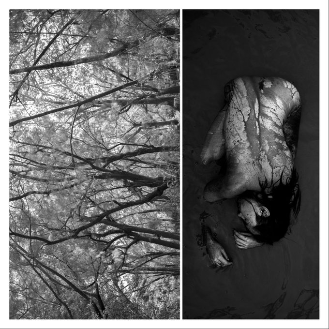 A black and white diptych photograph pairs an upward view of bare tree branches against the sky on the left with a haunting image of a person curled in muddy water on the right.