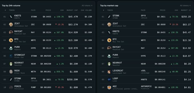 Two cryptocurrency ranking tables comparing top tokens by 24h volume and market cap, with STONK and $STONX leading both lists, followed by ZCAT, $ZEC, KNOTS, and BTC.