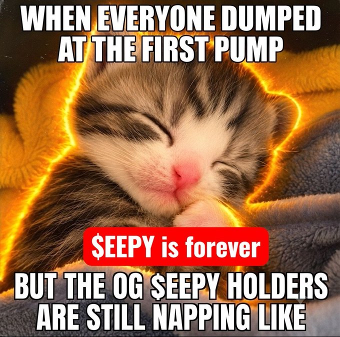 A sleeping kitten with glowing orange edges is shown cuddled in a blanket, with bold white text reading "WHEN EVERYONE DUMPED AT THE FIRST PUMP" at the top and "BUT THE OG $EEPY HOLDERS ARE STILL NAPPING LIKE" at the bottom, alongside a red badge stating "$EEPY is forever." The image perfectly captures the post's message of unwavering commitment to the $EEPY token, using the peacefully sleeping cat as a metaphor for OG holders who remain calm and unbothered through market volatility, signaling that the project is still going strong despite early sell-offs.
