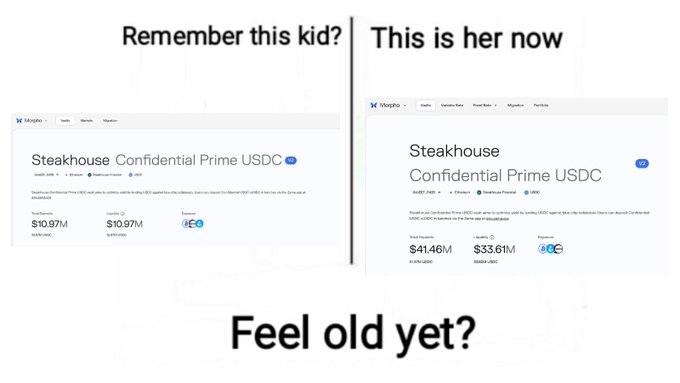 A "Remember this kid? This is her now" meme format comparing two screenshots of Morpho's Steakhouse Confidential Prime USDC vault page, showing growth from $10.97M total deposits and $10.97M TVL previously to $41.46M and $33.61M now, with the caption "Feel old yet?"