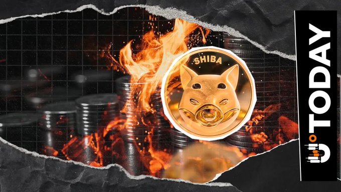 A dramatic image featuring a golden Shiba Inu coin engulfed in flames atop stacks of burning coins, with "SHIBA" visible on the coin and the "u.today TODAY" logo displayed vertically on the right side, visually representing the massive 24.38 million SHIB token burn mentioned in the post.