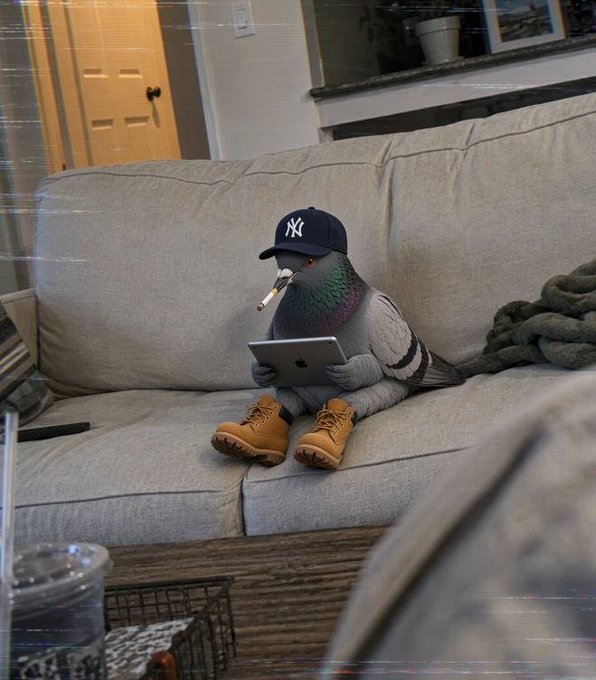 A humorous, edited photo of a pigeon sitting on a beige couch, wearing a NY Yankees baseball cap, Timberland boots, and holding a tablet, with a lit cigarette in its beak.