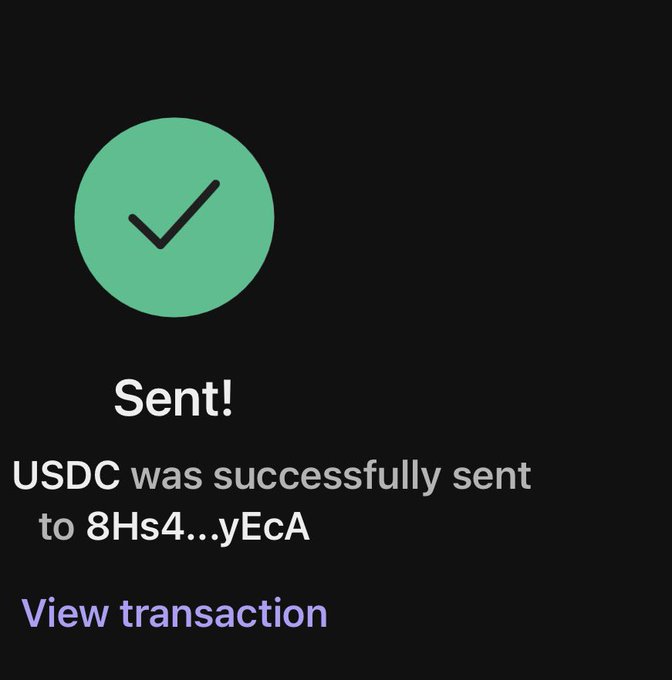 The image shows a green checkmark with an exclamation point above it, indicating that USDC was successfully sent. Below this, there's text that reads "Sent! Usdc was successfully sent". The image also includes a link to view the transaction details in the bottom right corner of the screen.