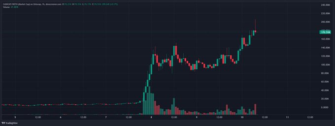 A candlestick chart of CRWD stock on a 1-hour timeframe shows a sharp rally from around $140 to a peak near $190, reflecting the strong bullish momentum highlighted in the post about "Cashcat enjoyers" and ongoing bull action. The visible timestamp range spans from December 6–11, with notable price and volume spikes during the upward move.