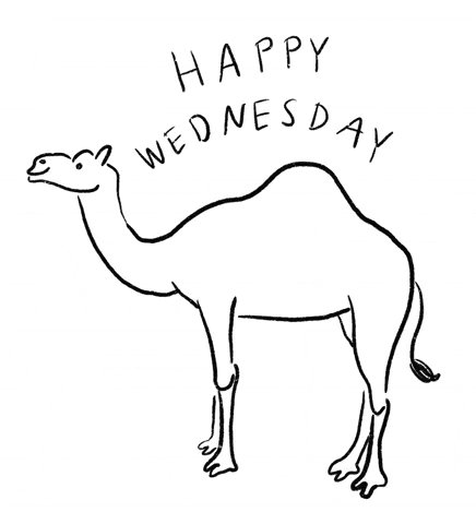 The image features a black and white line drawing of a camel standing upright with its head tilted slightly to the left, giving an impression that it's looking at something or someone. The caption below the image reads "Good morning Its Looks like going to be a hot day today but we keep building anyway let's keep pushing forward in Web3 @quipnetwork @sleepagotchi @TheARCTERMINAL @CNPYNetwork".
