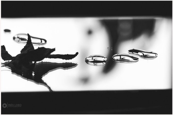A black-and-white artistic photograph with water droplets on a glass surface in the foreground and a blurred flower silhouette behind, credited to 'INÊS LOBO' in the corner.