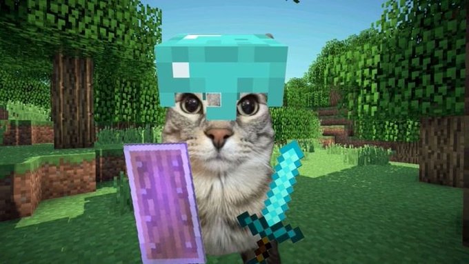 A humorous edit showing a cat's face superimposed with a Minecraft diamond helmet and holding a diamond sword and shield, set against a Minecraft forest background.