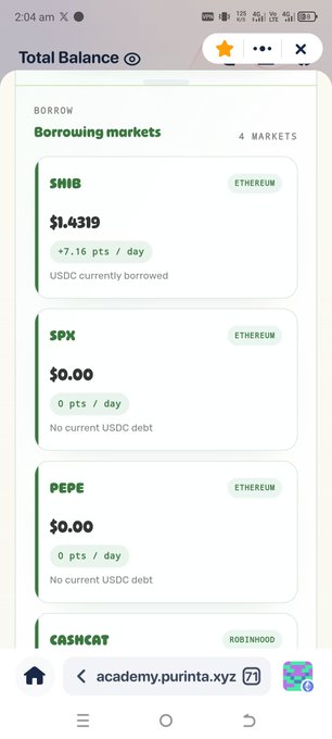 A mobile app screenshot from academy.purinta.xyz showing a 'Borrowing markets' page with total balance for assets including SHIB ($1.4319), SPX ($0.00), PEPE ($0.00), and CASHCAT on Ethereum and Robinhood chains.
