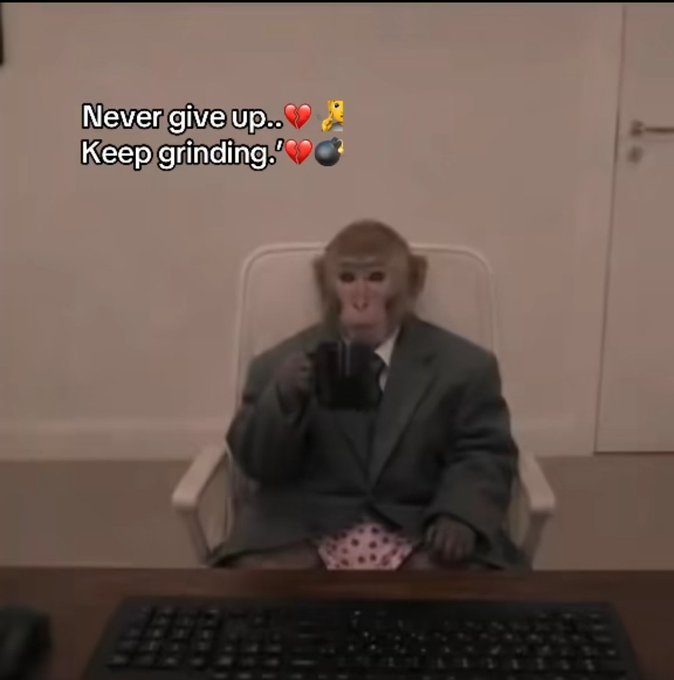 A meme featuring a monkey in a business suit sitting at a desk with a keyboard, with overlaid text reading 'Never give up..❤️🔐 Keep grinding.'❤️💣