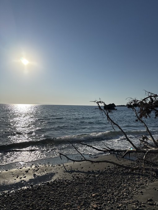 A scenic beach photograph taken during sunset or sunrise, showing the sun low in a clear sky reflecting off the rippling ocean waves, with driftwood and pebbles in the foreground.