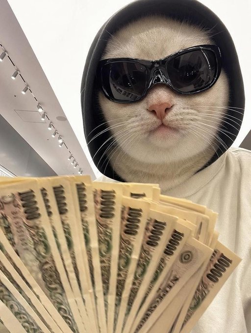A white cat wearing black sunglasses and a black hood stares into the camera while holding a fanned-out stack of 10,000 Japanese yen bills, perfectly matching the "got cashcat?" caption with its cool, money-flaunting pose.