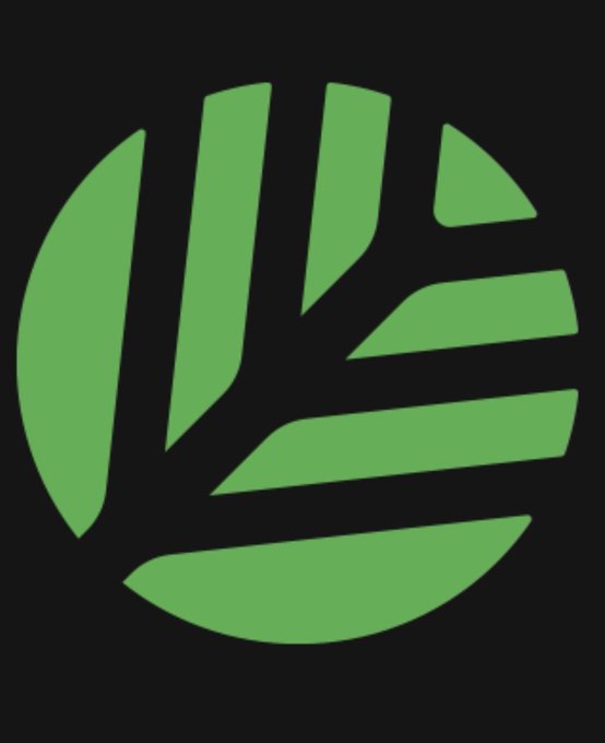 The image features a logo for a company named Canopy Network. The logo consists of a circle with a green leaf inside, which is the main visual element of the design. The leaf appears to be made up of multiple lines, giving it a three-dimensional effect and making it stand out against the black background. This unique design choice makes the logo easily recognizable and memorable for those who see it.