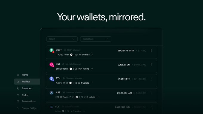 A screenshot of a cryptocurrency wallet interface titled 'Your wallets, mirrored,' displaying various tokens including USDT on TRON Mainnet, UNI on Unichain Mainnet, ETH on Ethereum Mainnet, ARB on Ethereum Mainnet, and SOL on Solana Mainnet, with corresponding balances and wallet counts.