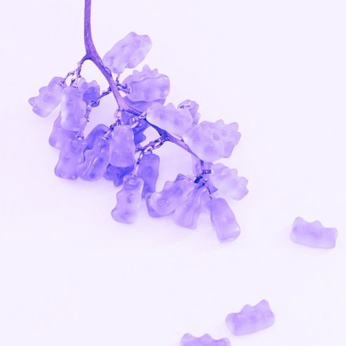 A close-up photograph of a cluster of purple, bear-shaped gummy candies attached to a purple stem against a pale pink background.