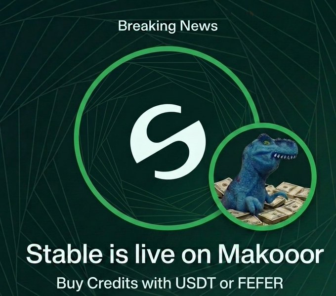 A promotional graphic announcing "Breaking News: Stable is live on Makooror" with the subtitle "Buy Credits with USDT or FERER" (likely a typo for FERER), featuring the green Stable Chain "S" logo alongside an image of a blue T-Rex sitting on stacks of cash—symbolizing the crypto payment options highlighted in the accompanying post.