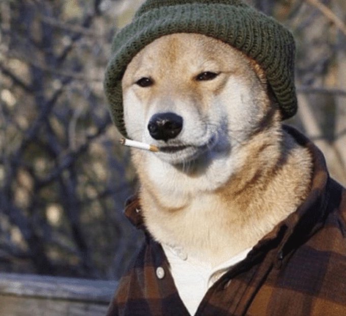 A Shiba Inu dog is dressed as Mark Renton from Trainspotting, wearing the iconic green beanie, a plaid shirt, and holding a cigarette in its mouth. The image humorously "tastefully recontextualizes" the gritty 1996 film for the modern day by casting the internet's favorite "doge" meme in the role of the iconic character.