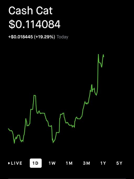 A mobile stock chart displays Cash Cat (CASHCAT) at $0.114084, up $0.018445 (+19.29%) on the day, with a 1D green line graph showing a volatile but ultimately sharp upward climb—visually reinforcing the post's message that the token's recent surge leaves little opportunity to catch the dip.