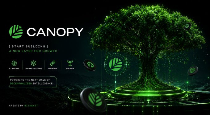 A promotional graphic for "CANOPY" featuring a glowing green tree symbolizing growth, with the tagline "START BUILDING — A NEW LAYER FOR GROWTH" and the hashtag "#CNPYNetwork" mentioned in the accompanying post. The image visually reinforces the post's theme of addressing decentralization gaps in Web3 building through Canopy's infrastructure for AI agents and onchain growth.
