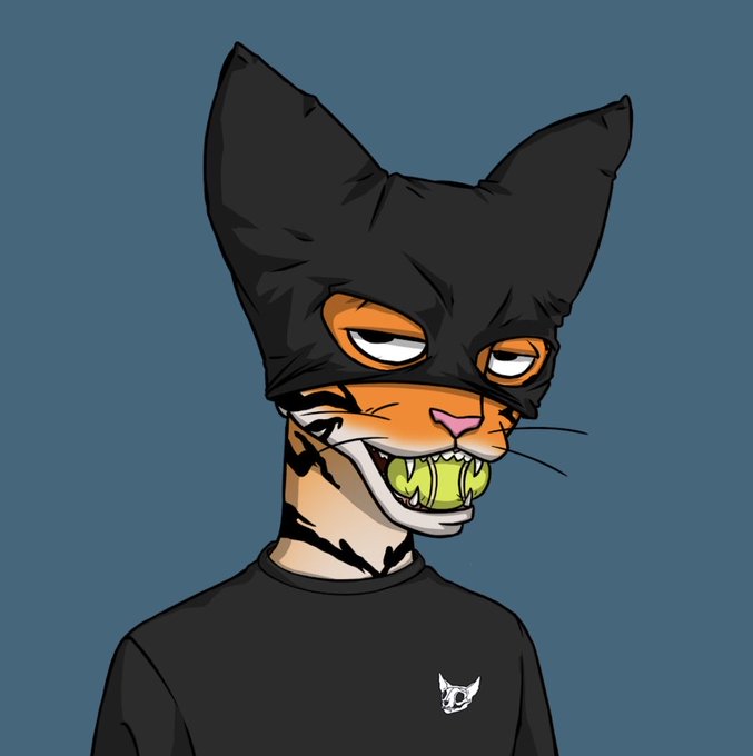 A digital illustration of a person with cat-like facial features, wearing a black balaclava with cat ears and a black shirt with a white cat logo.