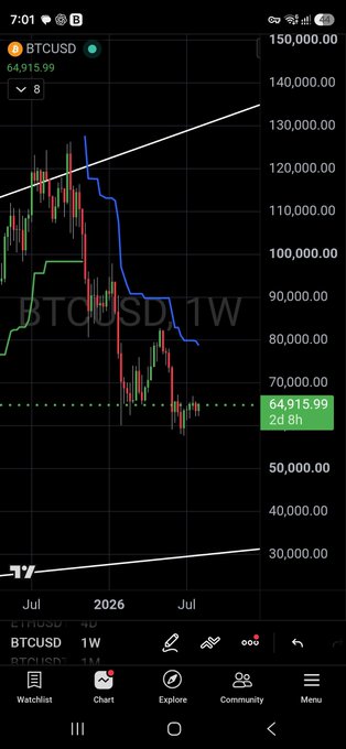 The image shows a TradingView weekly (1W) chart of BTCUSD with a current price of $64,915.99, depicting a steep decline from around $120,000 down to the $60,000-$70,000 range, with blue and green trend lines tracking the downtrend. Despite the chart clearly displaying a bearish price action with consistent lower highs and lower lows, the accompanying post makes an ironic, bullish call claiming "THE BULL MARKET IS HERE" and urging to "LONG WITH 25X"—seemingly highlighting the disconnect between the visibly bearish chart and overly optimistic trading sentiment.