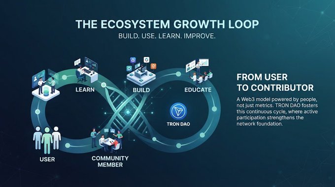 Infographic titled 'The Ecosystem Growth Loop' for TRON DAO, illustrating the cycle from User to Community Member through Learn, Build, and Educate stages.