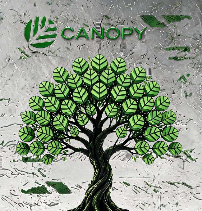 A stylized digital illustration of a tree made of green leaves with a twisted dark trunk, set against a textured gray background, featuring a logo and the word 'CANOPY' at the top.