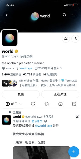 A screenshot of the X (Twitter) profile page for "@world_xyz" (display name "world"), verified with 3,406 posts, 62,763 followers, and 14 in following, showing the pinned translated post "传言说如果你被@world_xyz 关注 就会发生非常大的事情 (来源：相信我，兄弟)", which relates to the caption's excitement about being followed by this account.
