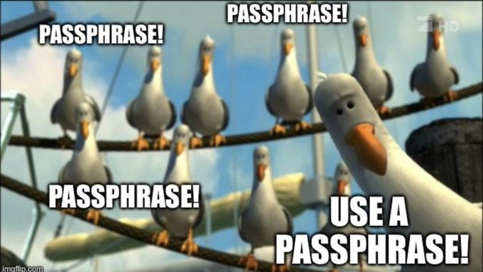 A meme featuring animated seagulls from 'Finding Nemo' with the text 'PASSPHRASE!' repeated and 'USE A PASSPHRASE!' displayed prominently.