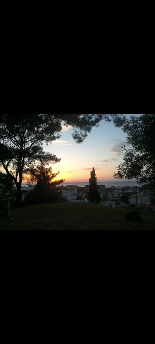A serene sunset silhouettes a small coastal town, framed by dark pine branches, with the warm glow of dusk meeting the calm sea on the horizon. The scene reflects the post's theme, capturing the quiet, timeless beauty where nature's heart beats beneath the fading light.