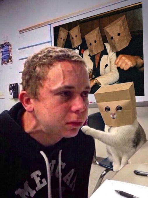A sad-looking man in a "MEXICO" hoodie sits beside a cat wearing a paper bag with eye holes cut out, while a poster of people with similar paper bags hangs in the background—humorously depicting crypto enthusiasts comforting each other about a meme coin while the cat reaches out to console the man.