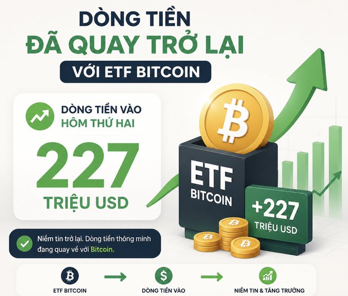 This image shows the connected relationship between Bitcoin, an ETF (Exchange Traded Fund)  and USD. It highlights the increasing transactions with a green dollar amount mentioned of over 227 million USD.